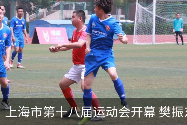 上海市第十八届运动会开幕 樊振东、吴敏霞等体坛名将助阵